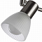 Спот на 3 и более ламп ARTE LAMP A5062PL-3SS